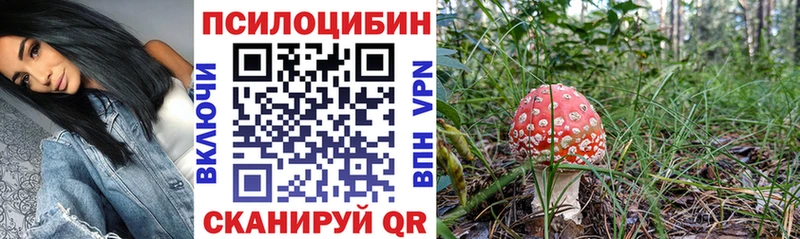Псилоцибиновые грибы прущие грибы  Фурманов 